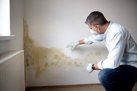 Best HVAC Mold Inspection and Cleaning  in Welcome, NC